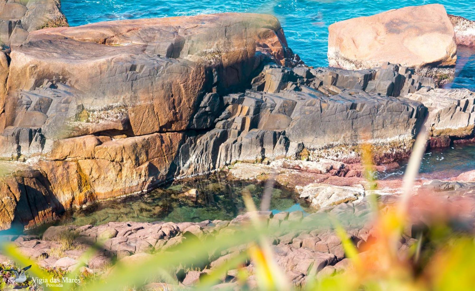 Casa Buda - Garopaba - Sc المظهر الخارجي الصورة
